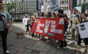 Foto: Koalicija bez krzna  / Marš protiv krzna "Fur Free Forever"